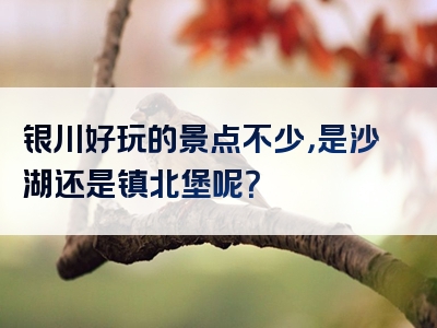 银川好玩的景点不少，是沙湖还是镇北堡呢？