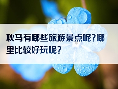 耿马有哪些旅游景点呢？哪里比较好玩呢？