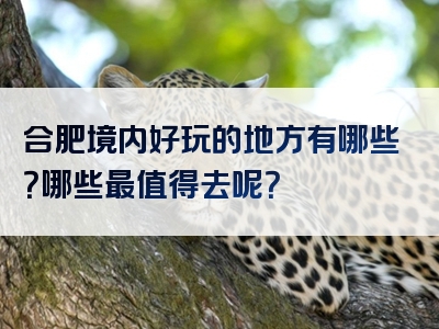 合肥境内好玩的地方有哪些？哪些最值得去呢？