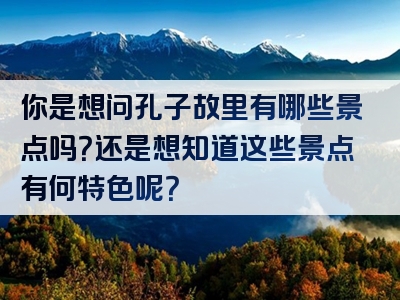 你是想问孔子故里有哪些景点吗？还是想知道这些景点有何特色呢？