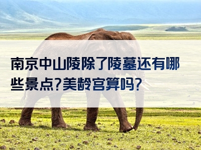 南京中山陵除了陵墓还有哪些景点？美龄宫算吗？