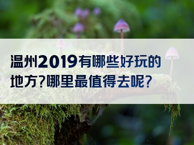 温州2019有哪些好玩的地方？哪里最值得去呢？