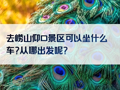 去崂山仰口景区可以坐什么车？从哪出发呢？