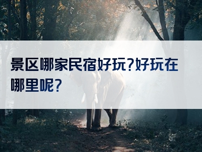 景区哪家民宿好玩？好玩在哪里呢？