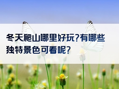 冬天爬山哪里好玩？有哪些独特景色可看呢？