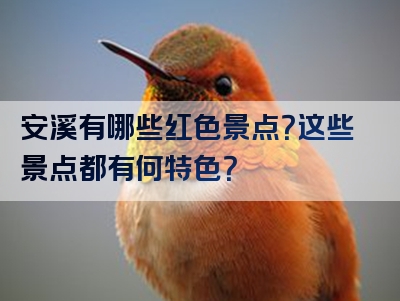 安溪有哪些红色景点？这些景点都有何特色？
