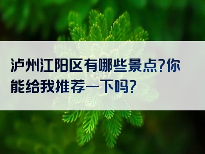 泸州江阳区有哪些景点？你能给我推荐一下吗？