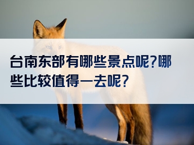 台南东部有哪些景点呢？哪些比较值得一去呢？