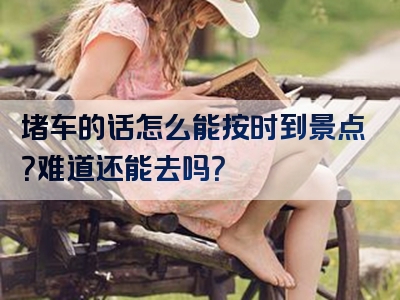 堵车的话怎么能按时到景点？难道还能去吗？