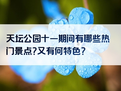 天坛公园十一期间有哪些热门景点？又有何特色？