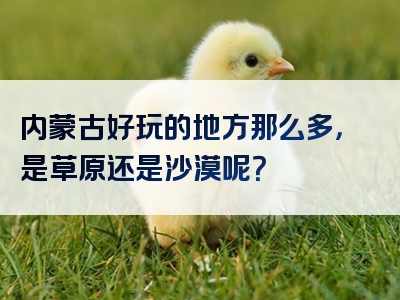 内蒙古好玩的地方那么多，是草原还是沙漠呢？