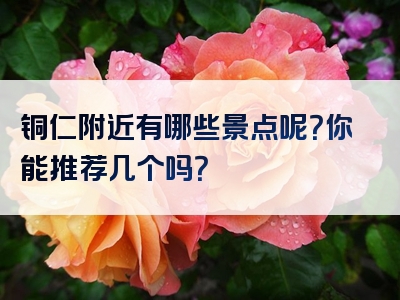 铜仁附近有哪些景点呢？你能推荐几个吗？