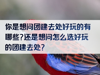 你是想问团建去处好玩的有哪些？还是想问怎么选好玩的团建去处？