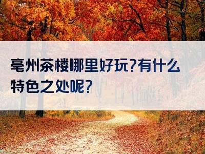 亳州茶楼哪里好玩？有什么特色之处呢？