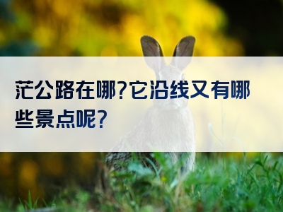 茫公路在哪？它沿线又有哪些景点呢？