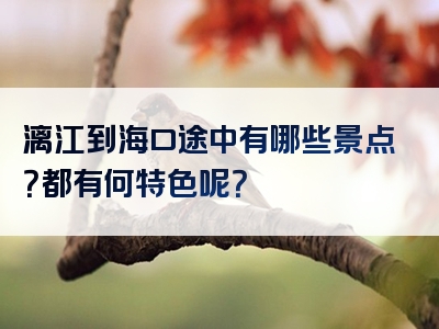 漓江到海口途中有哪些景点？都有何特色呢？