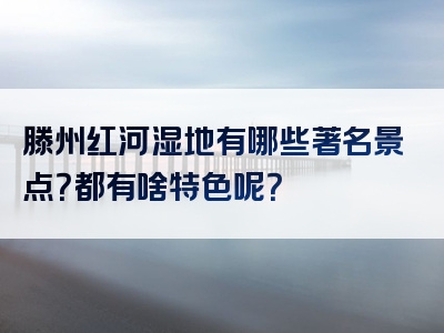 滕州红河湿地有哪些著名景点？都有啥特色呢？