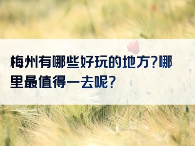 梅州有哪些好玩的地方？哪里最值得一去呢？