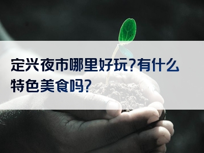 定兴夜市哪里好玩？有什么特色美食吗？
