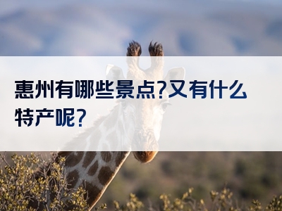 惠州有哪些景点？又有什么特产呢？