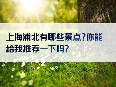 上海浦北有哪些景点？你能给我推荐一下吗？