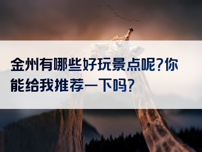 金州有哪些好玩景点呢？你能给我推荐一下吗？