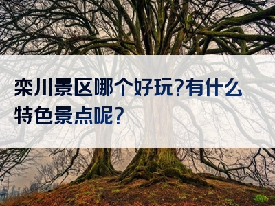 栾川景区哪个好玩？有什么特色景点呢？