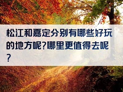 松江和嘉定分别有哪些好玩的地方呢？哪里更值得去呢？