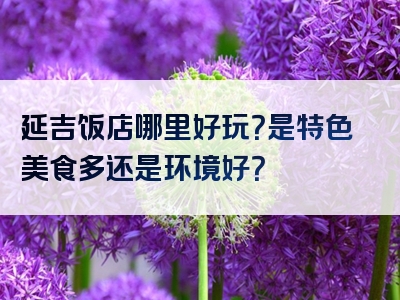 延吉饭店哪里好玩？是特色美食多还是环境好？