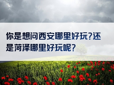 你是想问西安哪里好玩？还是菏泽哪里好玩呢？
