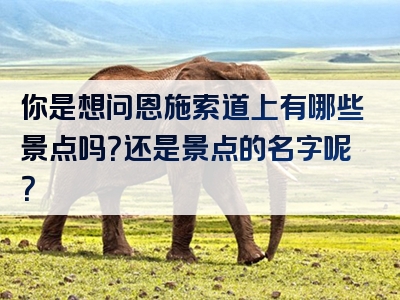 你是想问恩施索道上有哪些景点吗？还是景点的名字呢？