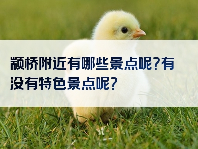 颛桥附近有哪些景点呢？有没有特色景点呢？
