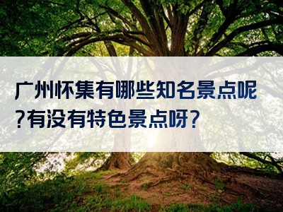 广州怀集有哪些知名景点呢？有没有特色景点呀？