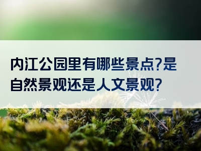 内江公园里有哪些景点？是自然景观还是人文景观？