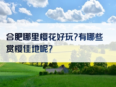 合肥哪里樱花好玩？有哪些赏樱佳地呢？