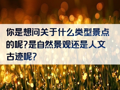 你是想问关于什么类型景点的呢？是自然景观还是人文古迹呢？
