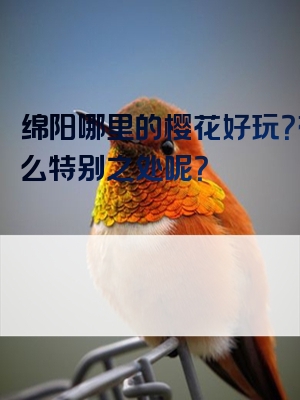 绵阳哪里的樱花好玩？有什么特别之处呢？