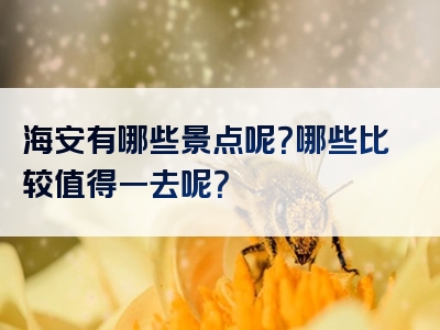 海安有哪些景点呢？哪些比较值得一去呢？