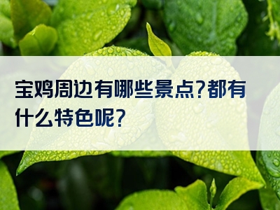 宝鸡周边有哪些景点？都有什么特色呢？
