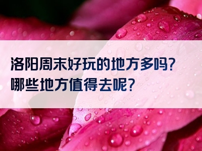 洛阳周末好玩的地方多吗？哪些地方值得去呢？