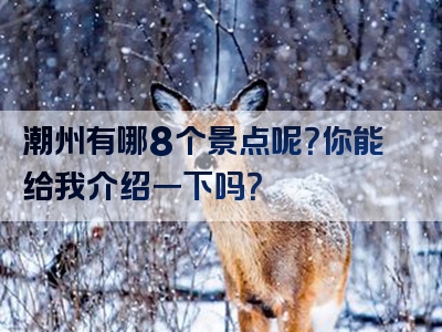 潮州有哪8个景点呢？你能给我介绍一下吗？