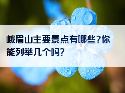 峨眉山主要景点有哪些？你能列举几个吗？