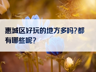 惠城区好玩的地方多吗？都有哪些呢？