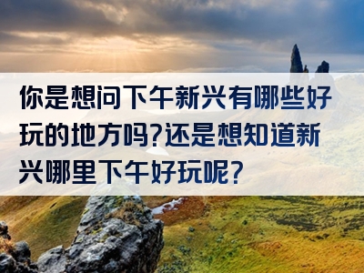 你是想问下午新兴有哪些好玩的地方吗？还是想知道新兴哪里下午好玩呢？