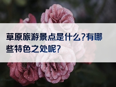草原旅游景点是什么？有哪些特色之处呢？