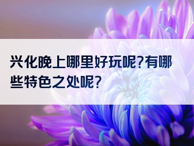 兴化晚上哪里好玩呢？有哪些特色之处呢？