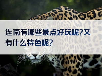 连南有哪些景点好玩呢？又有什么特色呢？