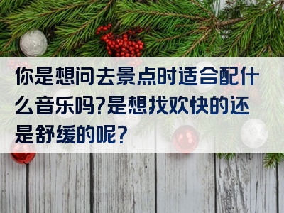 你是想问去景点时适合配什么音乐吗？是想找欢快的还是舒缓的呢？
