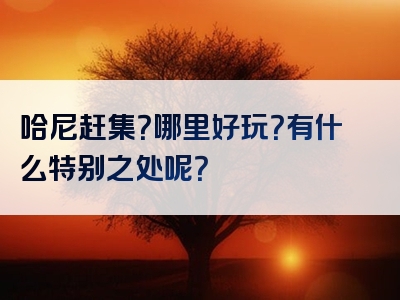 哈尼赶集？哪里好玩？有什么特别之处呢？