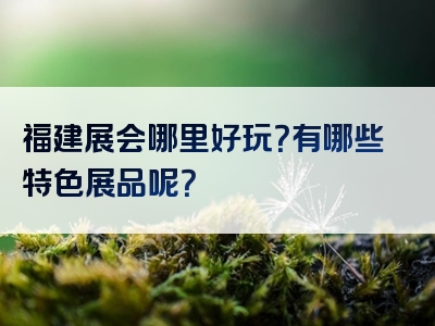 福建展会哪里好玩？有哪些特色展品呢？